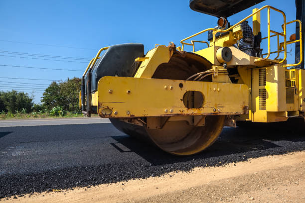 Best Professional Driveway Pavers  in La Plata, MO
